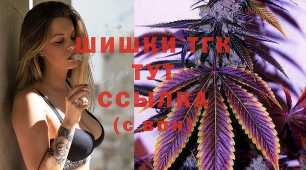 PSILOCYBIN Пестово