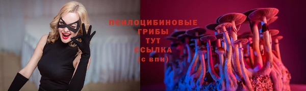 PSILOCYBIN Пестово