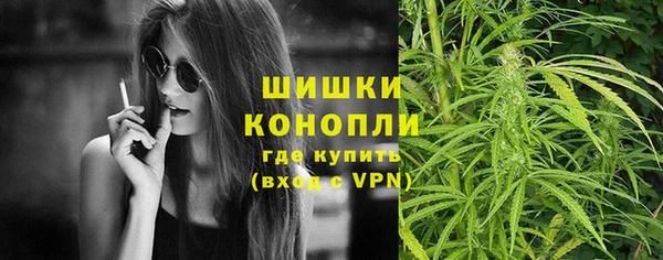 сатива Пересвет
