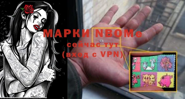 сатива Пересвет