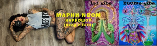дмт Переславль-Залесский