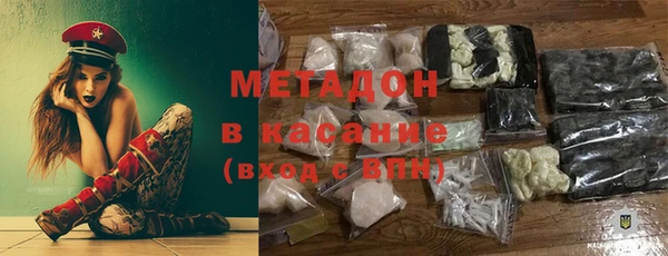 сатива Пересвет