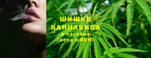PSILOCYBIN Пестово