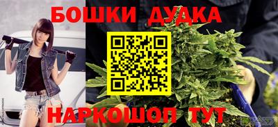 сатива Кинель