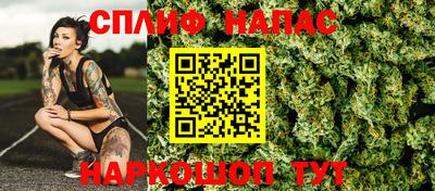 прущие грибы Кингисепп