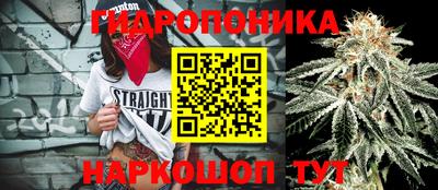 стафф Балаково