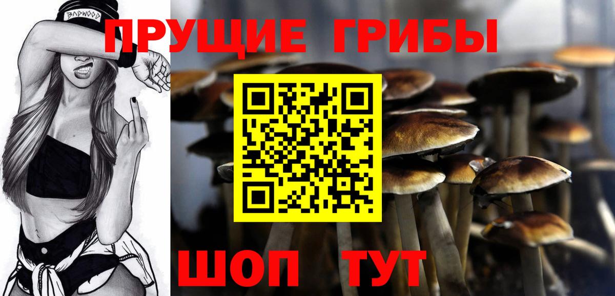 Муравленко  Галлюциногенные грибы Cubensis  Вход с VPN  Галлюциногенные грибы MAGIC MUSHROOMS 